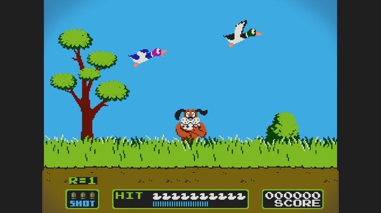 Duck Hunt