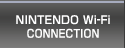 NINTENDO Wi-Fi CONNECTION