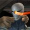 Gray Fox