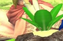 カブほりしどう
