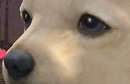 ピーチのあいけん
