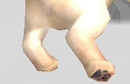 ゴハンちょうだい。