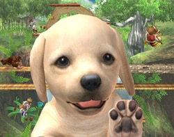 ゲーム画面